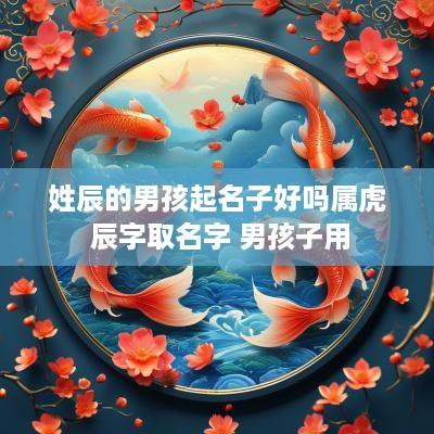 姓辰的男孩起名子好吗属虎 辰字取名字 男孩子用