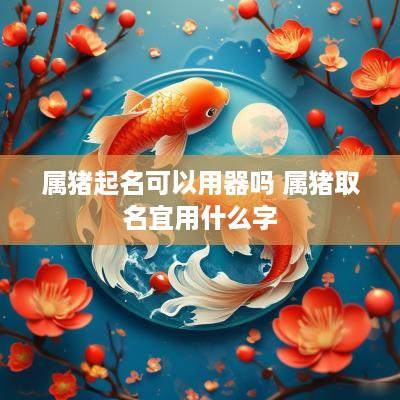 属猪起名可以用器吗 属猪取名宜用什么字