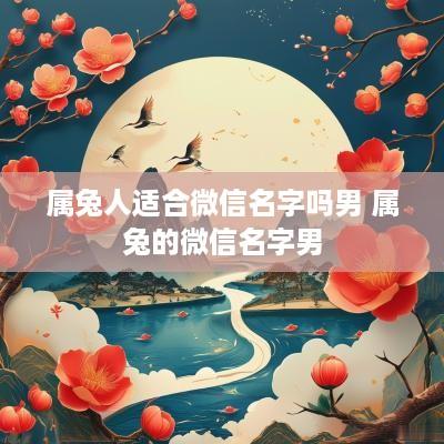 属兔人适合微信名字吗男 属兔的微信名字男