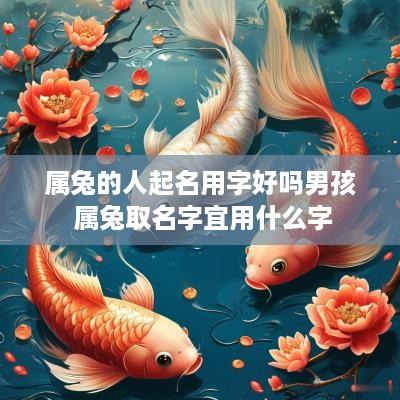 属兔的人起名用字好吗男孩 属兔取名字宜用什么字