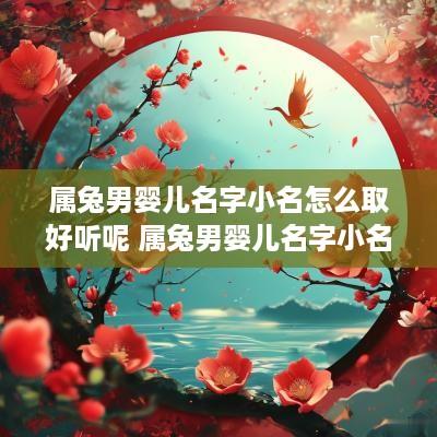 属兔男婴儿名字小名怎么取好听呢 属兔男婴儿名字小名怎么取好听呢图片