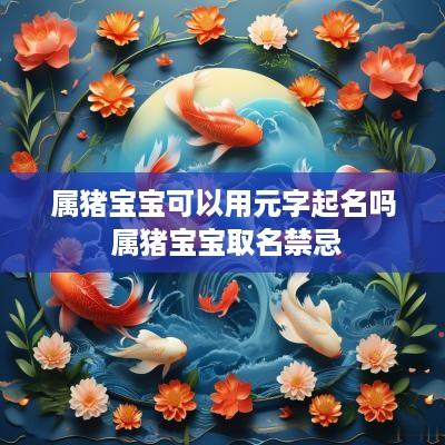 属猪宝宝可以用元字起名吗 属猪宝宝取名禁忌