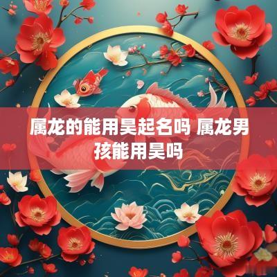 属龙的能用昊起名吗 属龙男孩能用昊吗