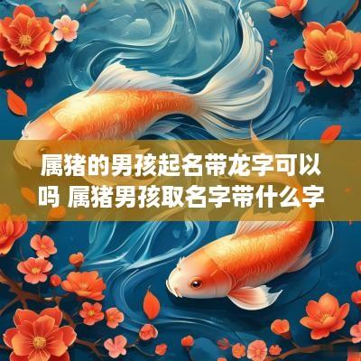 属猪的男孩起名带龙字可以吗 属猪男孩取名字带什么字比较好