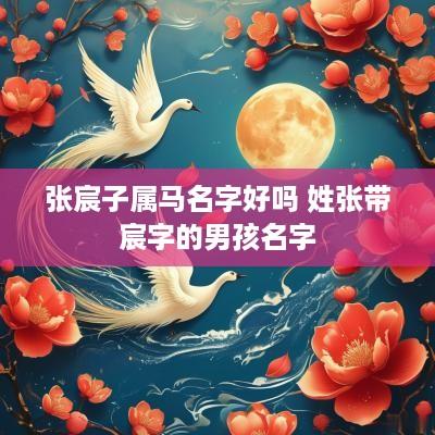 张宸子属马名字好吗 姓张带宸字的男孩名字
