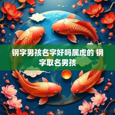 钢字男孩名字好吗属虎的 钢字取名男孩