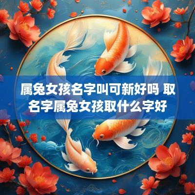 属兔女孩名字叫可新好吗 取名字属兔女孩取什么字好