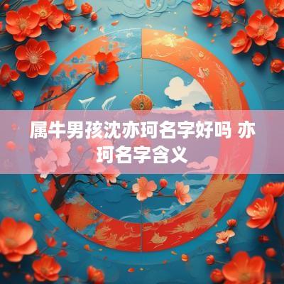 属牛男孩沈亦珂名字好吗 亦珂名字含义