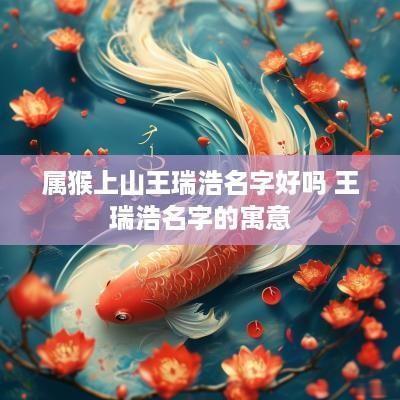 属猴上山王瑞浩名字好吗 王瑞浩名字的寓意
