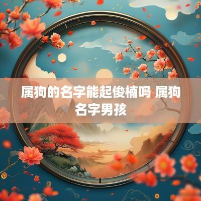 属狗的名字能起俊楠吗 属狗名字男孩