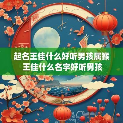 起名王佳什么好听男孩属猴 王佳什么名字好听男孩