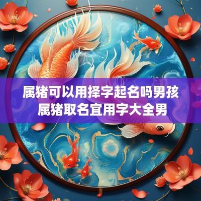 属猪可以用择字起名吗男孩 属猪取名宜用字大全男