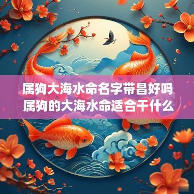 属狗大海水命名字带昌好吗 属狗的大海水命适合干什么行业