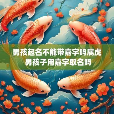 男孩起名不能带嘉字吗属虎 男孩子用嘉字取名吗 男孩起名不能带嘉字吗属虎 男孩子用嘉字取名吗