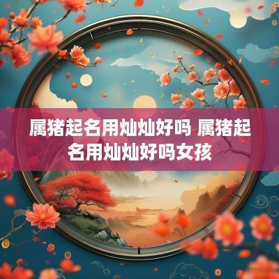 属猪起名用灿灿好吗 属猪起名用灿灿好吗女孩