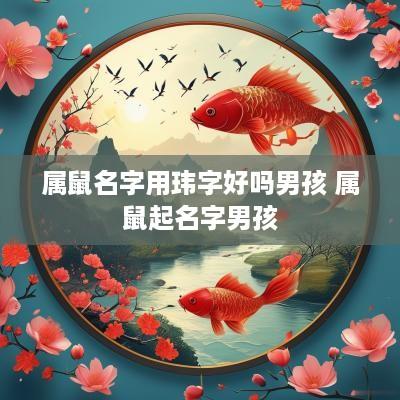 属鼠名字用玮字好吗男孩 属鼠起名字男孩