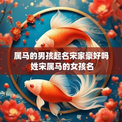 属马的男孩起名宋家豪好吗 姓宋属马的女孩名