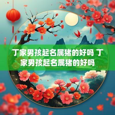 丁家男孩起名属猪的好吗 丁家男孩起名属猪的好吗