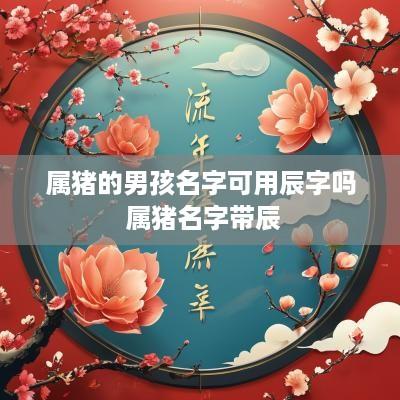 属猪的男孩名字可用辰字吗 属猪名字带辰