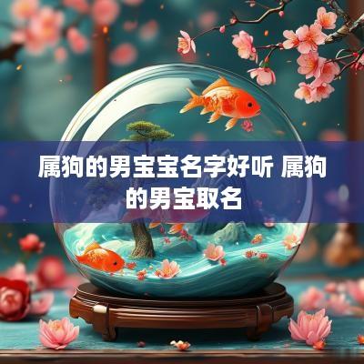 属狗的男宝宝名字好听 属狗的男宝取名