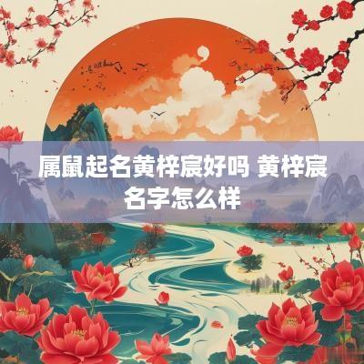 属鼠起名黄梓宸好吗 黄梓宸名字怎么样