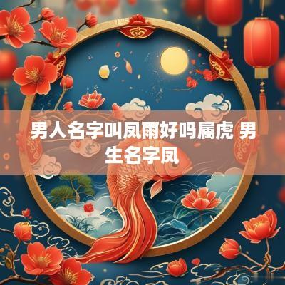 男人名字叫凤雨好吗属虎 男生名字凤