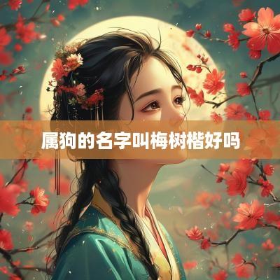 属狗的名字叫梅树楷好吗