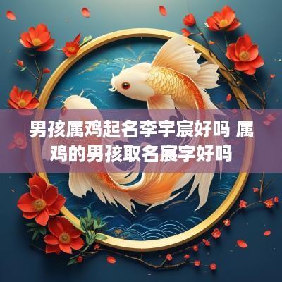 男孩属鸡起名李宇宸好吗 属鸡的男孩取名宸字好吗