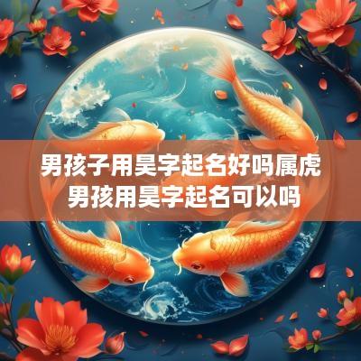 男孩子用昊字起名好吗属虎 男孩用昊字起名可以吗