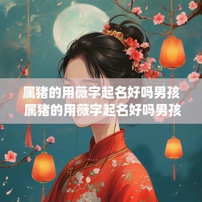 属猪的用薇字起名好吗男孩 属猪的用薇字起名好吗男孩子
