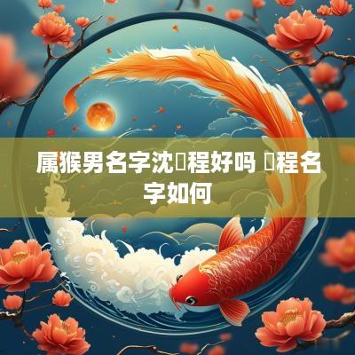 属猴男名字沈璟程好吗 璟程名字如何