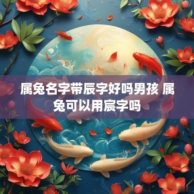 属兔名字带辰字好吗男孩 属兔可以用宸字吗