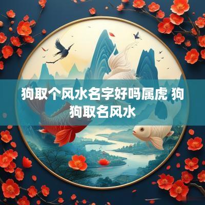 狗取个风水名字好吗属虎 狗狗取名风水
