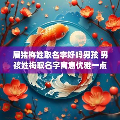 属猪梅姓取名字好吗男孩 男孩姓梅取名字寓意优雅一点