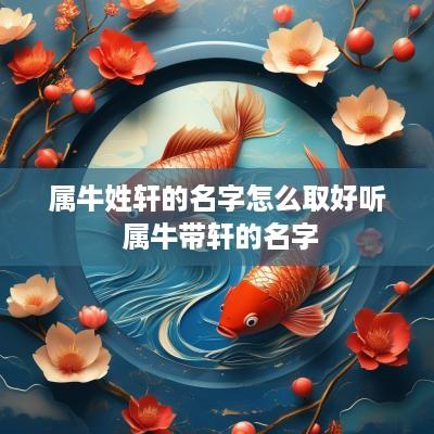 属牛姓轩的名字怎么取好听 属牛带轩的名字