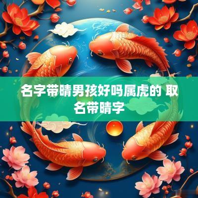 名字带晴男孩好吗属虎的 取名带晴字