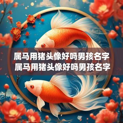 属马用猪头像好吗男孩名字 属马用猪头像好吗男孩名字怎么取
