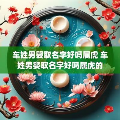 车姓男婴取名字好吗属虎 车姓男婴取名字好吗属虎的