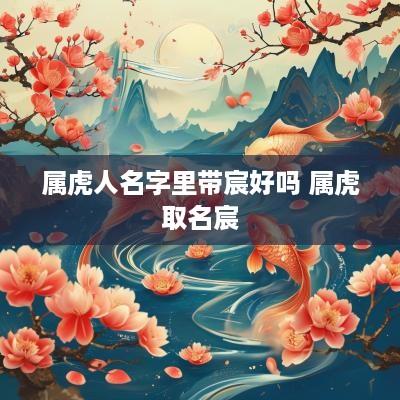 属虎人名字里带宸好吗 属虎取名宸