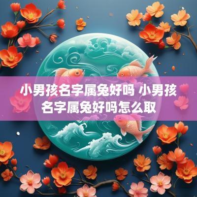 小男孩名字属兔好吗 小男孩名字属兔好吗怎么取
