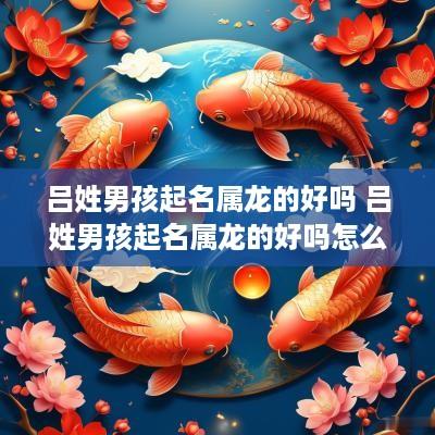 吕姓男孩起名属龙的好吗 吕姓男孩起名属龙的好吗怎么取