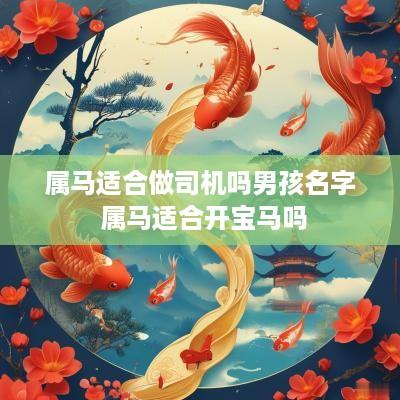 属马适合做司机吗男孩名字 属马适合开宝马吗