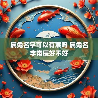 属兔名字可以有宸吗 属兔名字带辰好不好