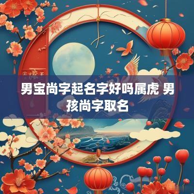 男宝尚字起名字好吗属虎 男孩尚字取名