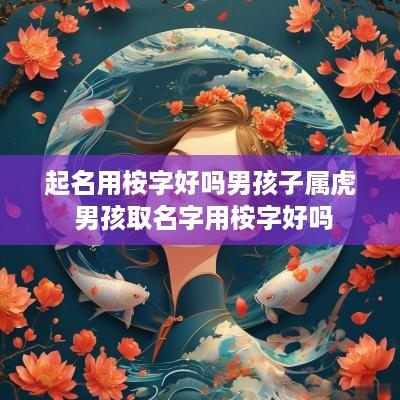 起名用桉字好吗男孩子属虎 男孩取名字用桉字好吗