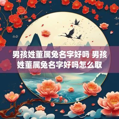 男孩姓董属兔名字好吗 男孩姓董属兔名字好吗怎么取