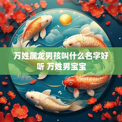 万姓属龙男孩叫什么名字好听 万姓男宝宝