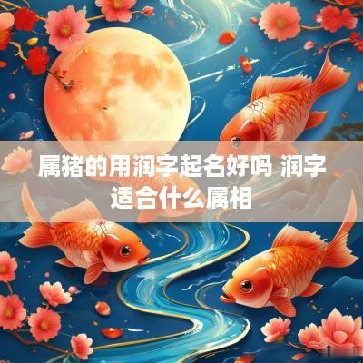 属猪的用润字起名好吗 润字适合什么属相