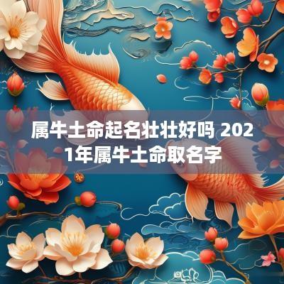 属牛土命起名壮壮好吗 2025年属牛土命取名字