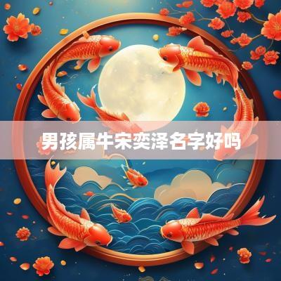 男孩属牛宋奕泽名字好吗